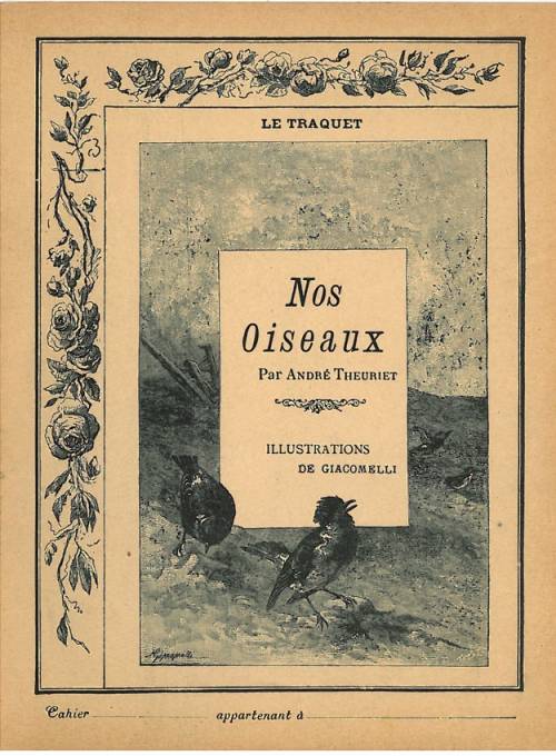 Série Nos oiseaux (Giacomelli)