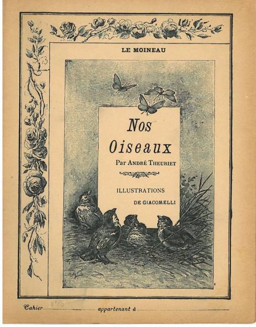 Série Nos oiseaux(Giacomelli)