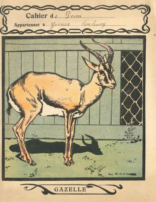 Série Animaux (Auguste Vimar)
