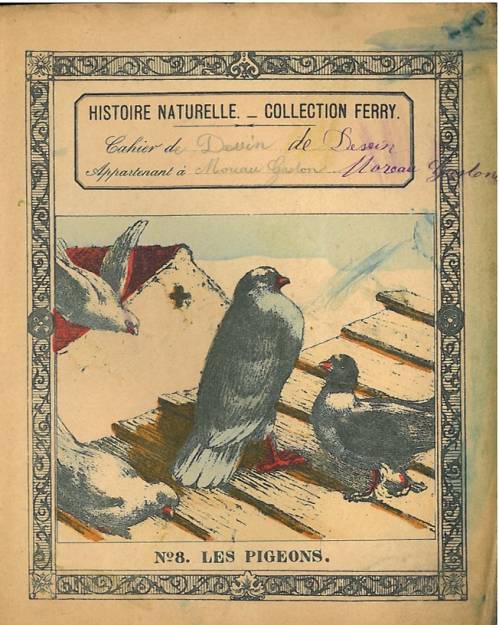 Série Histoire naturelle (2)