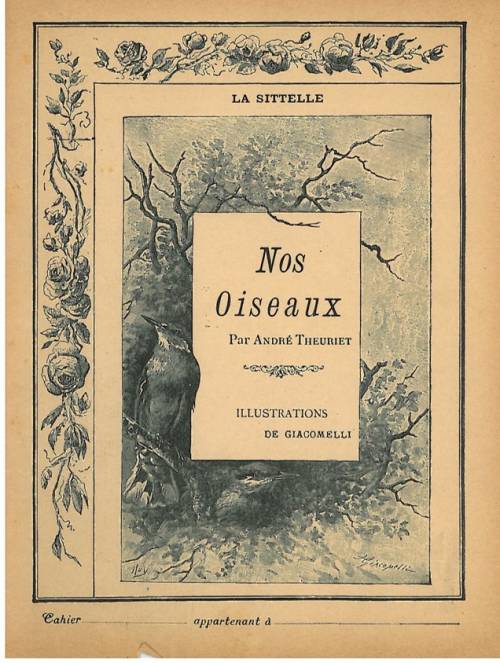 Série Nos oiseaux (Giacomelli)