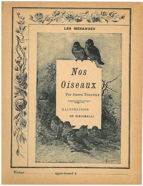 Série Nos oiseaux (Giacomelli)