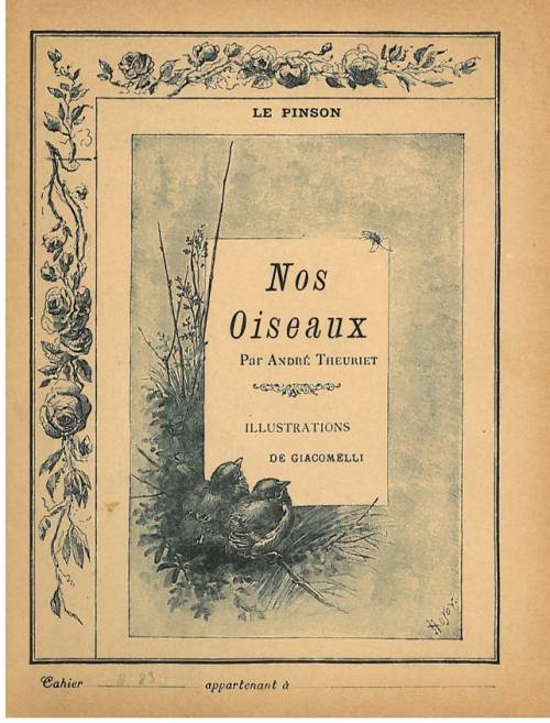 série nos oiseaux (Giacomelli)