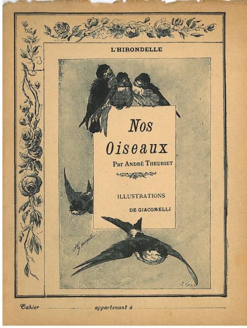 Série Nos oiseaux (Giacomelli)