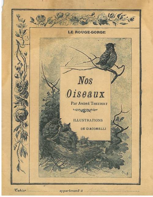 Série Nos oiseaux (Giacomelli)