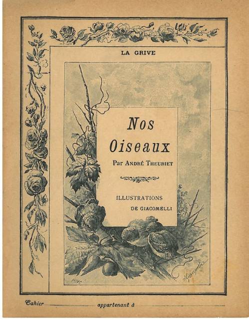 Série Nos oiseaux (Giacomelli)