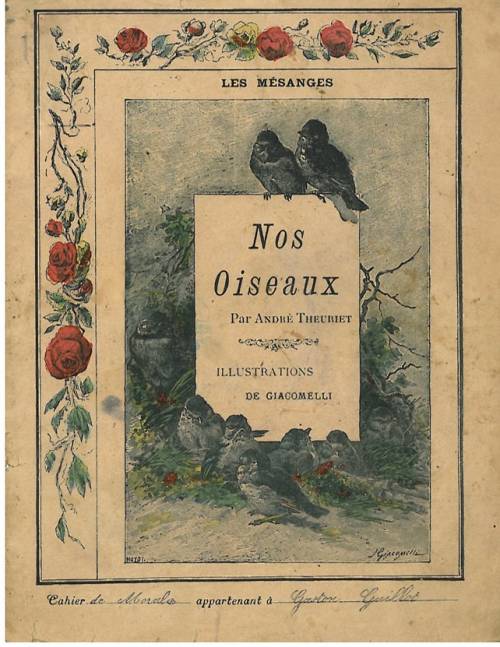 Série Nos oiseaux (Giacomelli)