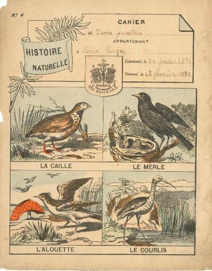 Série Histoire naturelle (1)