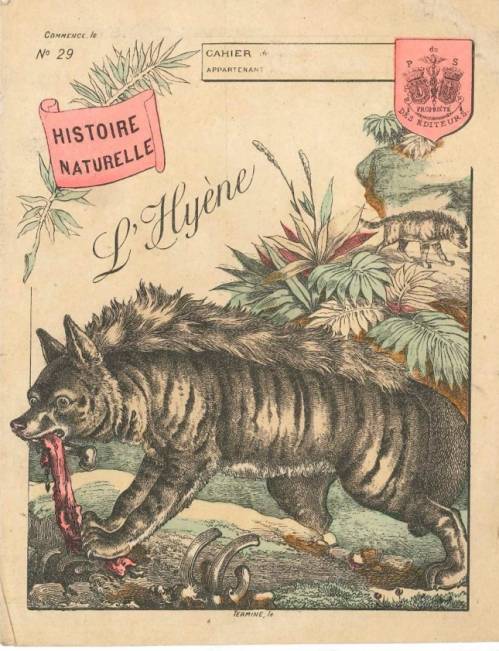 Série Histoire naturelle (1)