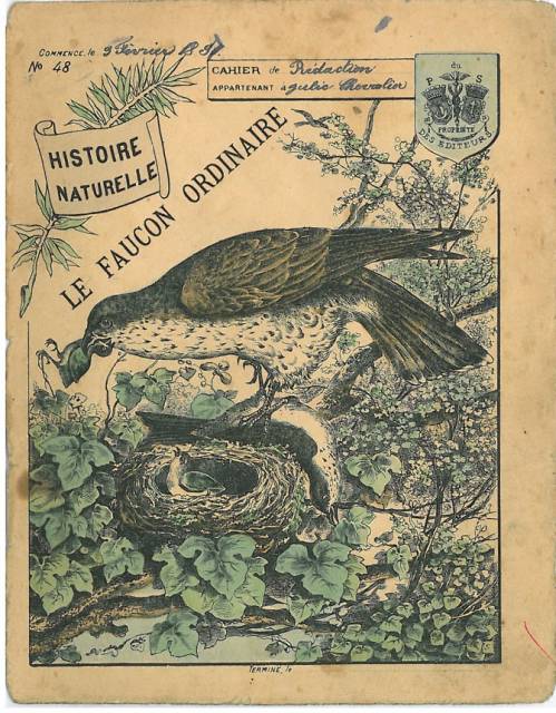 Série Histoire naturelle (1)