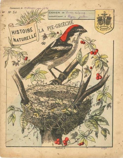 Série Histoire naturelle (1)