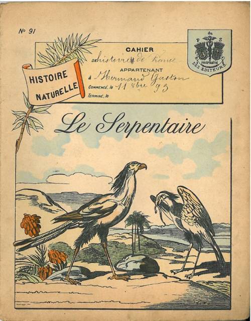 Série Histoire naturelle (1)