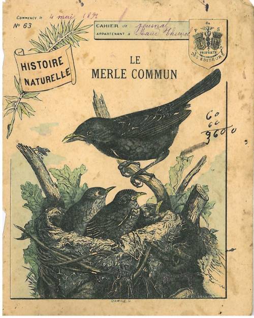 Série Histoire naturelle (1)