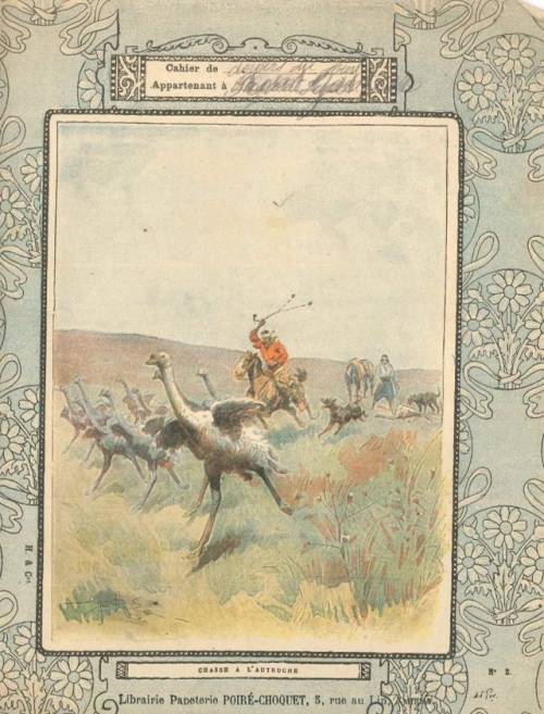 Série Chasse (1, Coll. Hachette)