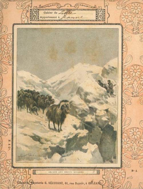 Série Chasse (1, Coll. Hachette)