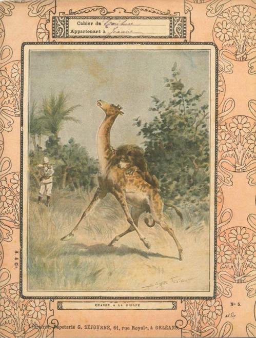 Série Chasse (1, Coll. Hachette)