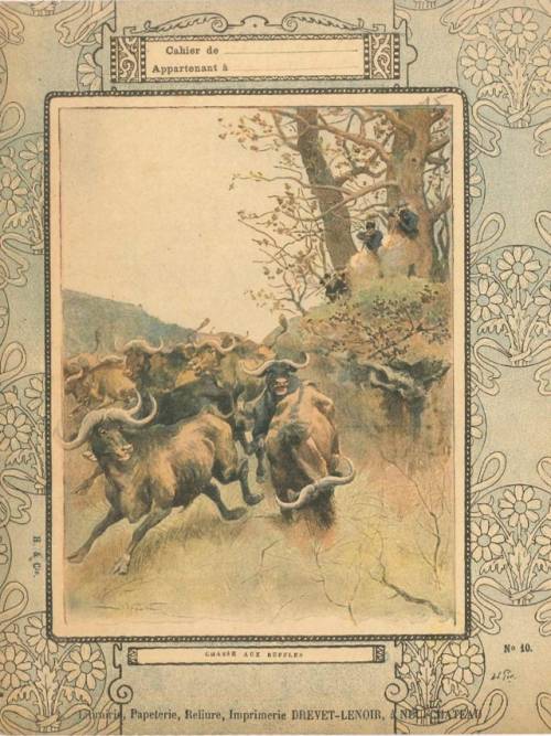 Série Chasse (1, Coll. Hachette)